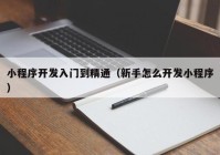 小程序开发入门到精通（新手怎么开发小程序）