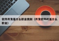 软件开发是什么职业类别（开发软件的是什么职业）