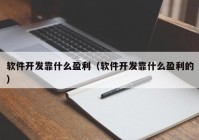 软件开发靠什么盈利（软件开发靠什么盈利的）