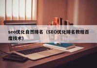 seo优化自然排名（SEO优化排名教程百度技术）