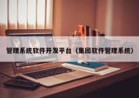 管理系统软件开发平台（集团软件管理系统）