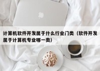 计算机软件开发属于什么行业门类（软件开发属于计算机专业哪一类）