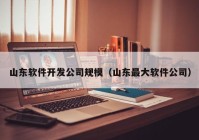 山东软件开发公司规模（山东最大软件公司）