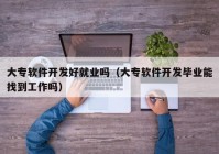 大专软件开发好就业吗（大专软件开发毕业能找到工作吗）