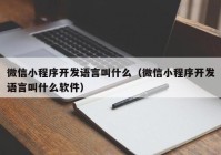 微信小程序开发语言叫什么（微信小程序开发语言叫什么软件）