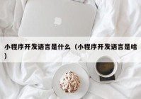 小程序开发语言是什么（小程序开发语言是啥）