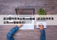 武汉软件开发公司ceo姜峰（武汉软件开发公司ceo姜峰简介）