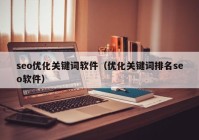 seo优化关键词软件（优化关键词排名seo软件）