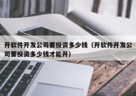 开软件开发公司要投资多少钱（开软件开发公司要投资多少钱才能开）