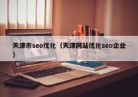 天津市seo优化（天津网站优化seo企业）