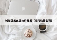 城阳区怎么做软件开发（城阳软件公司）