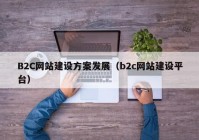 B2C网站建设方案发展（b2c网站建设平台）