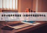 自学小程序开发语言（小程序开发语言学什么）