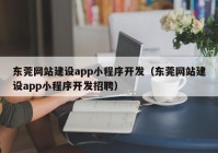 东莞网站建设app小程序开发（东莞网站建设app小程序开发招聘）