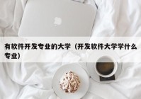 有软件开发专业的大学（开发软件大学学什么专业）