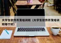 大学生软件开发培训班（大学生软件开发培训班哪个好）