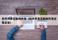 软件开发互联网开发（软件开发互联网开发还是企业）