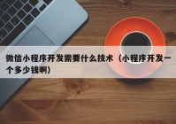 微信小程序开发需要什么技术（小程序开发一个多少钱啊）