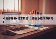 小程序开发c语言教程（c语言小程序源代码）