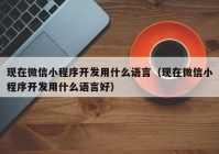 现在微信小程序开发用什么语言（现在微信小程序开发用什么语言好）