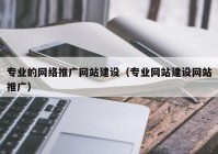 专业的网络推广网站建设（专业网站建设网站推广）