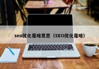 seo优化是啥意思（SEO优化是啥）