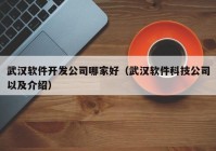 武汉软件开发公司哪家好（武汉软件科技公司以及介绍）