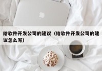 给软件开发公司的建议（给软件开发公司的建议怎么写）