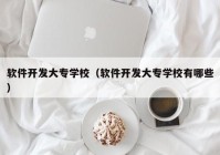 软件开发大专学校（软件开发大专学校有哪些）