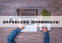 软件开发有什么职业（软件开发叫什么行业）