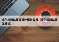 哈尔滨网站建设设计服务公司（哈尔滨网站开发建设）