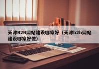 天津B2B网站建设哪家好（天津b2b网站建设哪家好做）