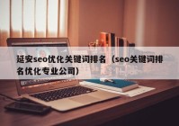 延安seo优化关键词排名（seo关键词排名优化专业公司）