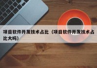 项目软件开发技术占比（项目软件开发技术占比大吗）