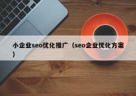 小企业seo优化推广（seo企业优化方案）