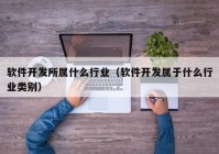 软件开发所属什么行业（软件开发属于什么行业类别）