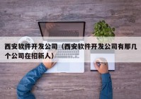 西安软件开发公司（西安软件开发公司有那几个公司在招新人）