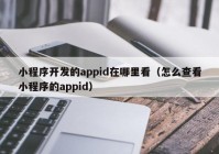 小程序开发的appid在哪里看（怎么查看小程序的appid）