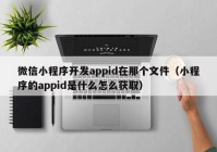 微信小程序开发appid在那个文件（小程序的appid是什么怎么获取）