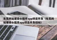 东莞网站建设小程序app项目开发（东莞网站建设小程序app项目开发招标）