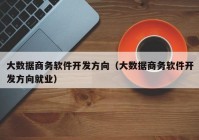 大数据商务软件开发方向（大数据商务软件开发方向就业）