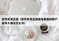 软件开发总结（软件开发总结报告里面的新产品导入情况怎么写）