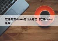 软件开发demo是什么意思（软件demo是啥）