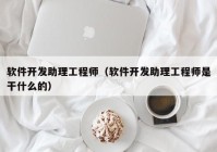 软件开发助理工程师（软件开发助理工程师是干什么的）