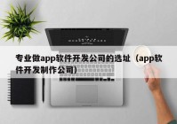 专业做app软件开发公司的选址（app软件开发制作公司）