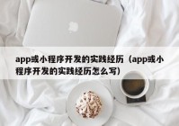 app或小程序开发的实践经历（app或小程序开发的实践经历怎么写）