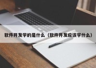 软件开发学的是什么（软件开发应该学什么）