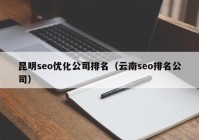 昆明seo优化公司排名（云南seo排名公司）