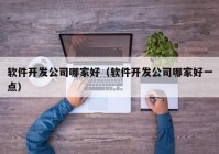 软件开发公司哪家好（软件开发公司哪家好一点）