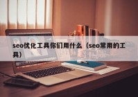 seo优化工具你们用什么（seo常用的工具）